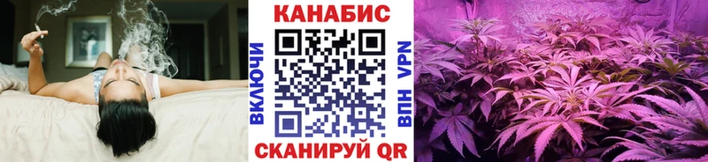 где купить наркотик  KRAKEN как войти  Бошки марихуана сатива  Ясногорск 